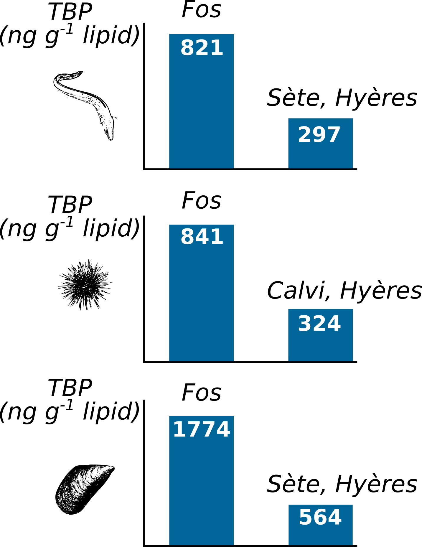 Bioaccumulation du TBP